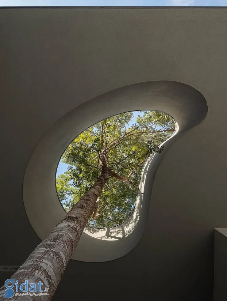 photo_2025-11-04_11-38-08 (2)